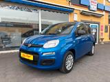 Fiat Panda Pandina Pop - Tempomat/Einparkhilfe/Klima - Fiat Panda in Mainz