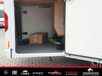 Autohaus Thorwesten Gebrauchtwagen