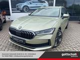 Skoda Superb NEU Combi 2.0 TDI DSG Traveller AHK Navi  - Skoda Superb Tageszulassungen