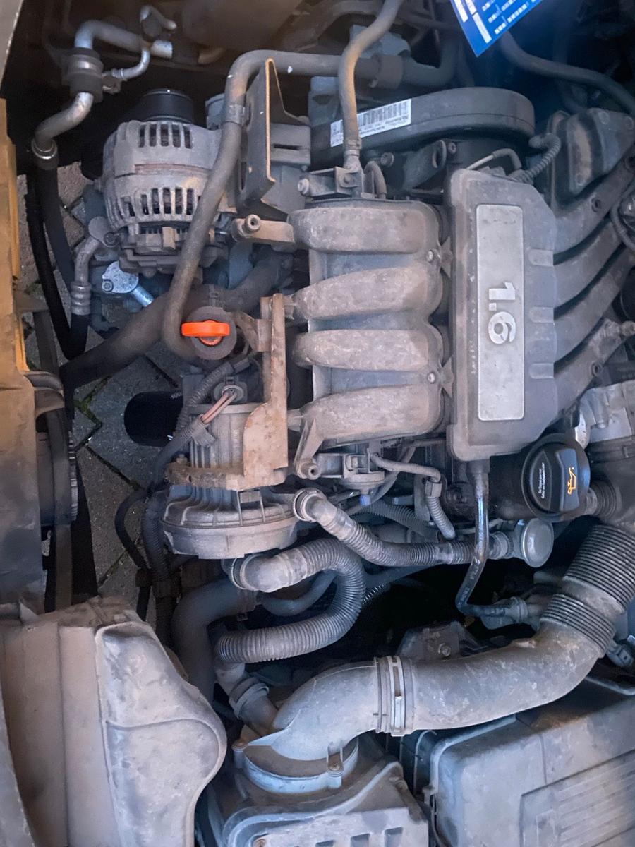 Skoda Octavia 2009 — photo 11