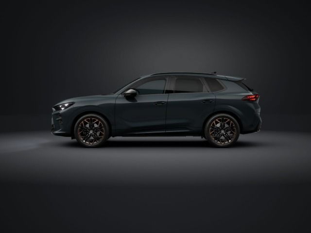Cupra Terramar - Bild 2