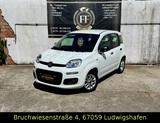 Fiat New Panda 1.2 8V LOUNGE* 1 Hand* - Fiat New Panda Benziner Gebrauchtwagen