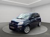 Fiat Panda Lounge*1 Hand*SHZ*PDC*LED* - Fiat Panda mit Benzin-Antrieb: Kleinwagen, Automatik