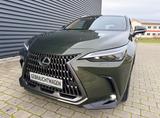 Lexus NX 350h Luxury Line (E-Four) Leder Navi LED - Lexus NX Luxury-Line
