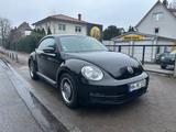 Volkswagen Beetle Käfer 1.2 TÜV/AU neu Inspektion neu - Sportwagen bis 10.000 Euro
