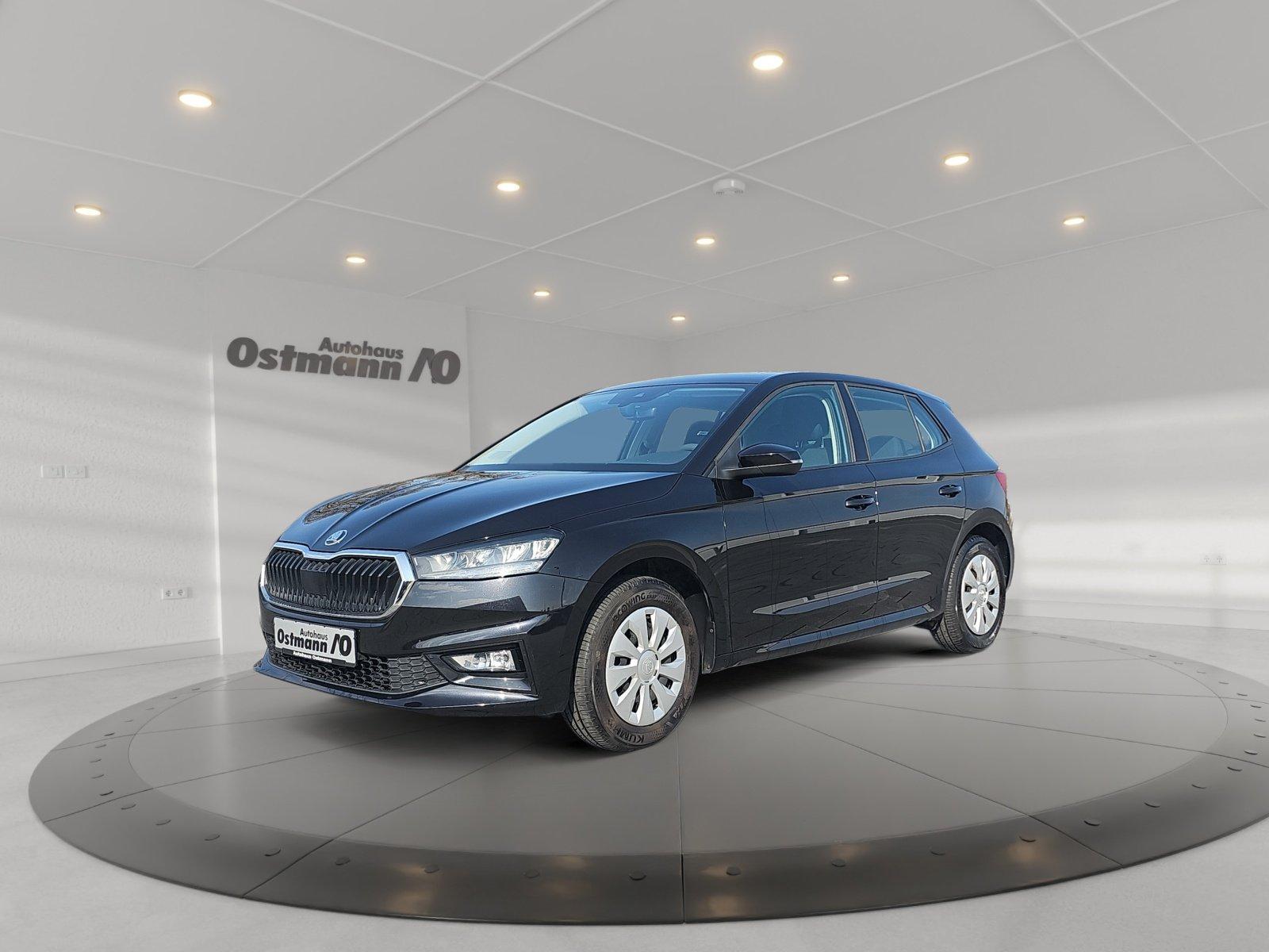 Skoda Fabia 1.0 TSI Active LED PDC SHZ SpurH Winterp.