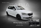 Skoda Fabia Clever 1.0 TSI ACC/SHZ/PDC - Skoda Fabia: Clever