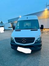 Mercedes-Benz Mercedes sprinter 313 cdi 129ps maxi kaste... - Mercedes-Benz Sprinter: 313 Cdi Maxi