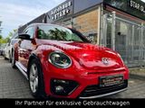 Volkswagen Beetle R-Line 2.0 TDI BMT LEDER *XENON*SH*NAVI - VW Beetle gebraucht in Frankfurt