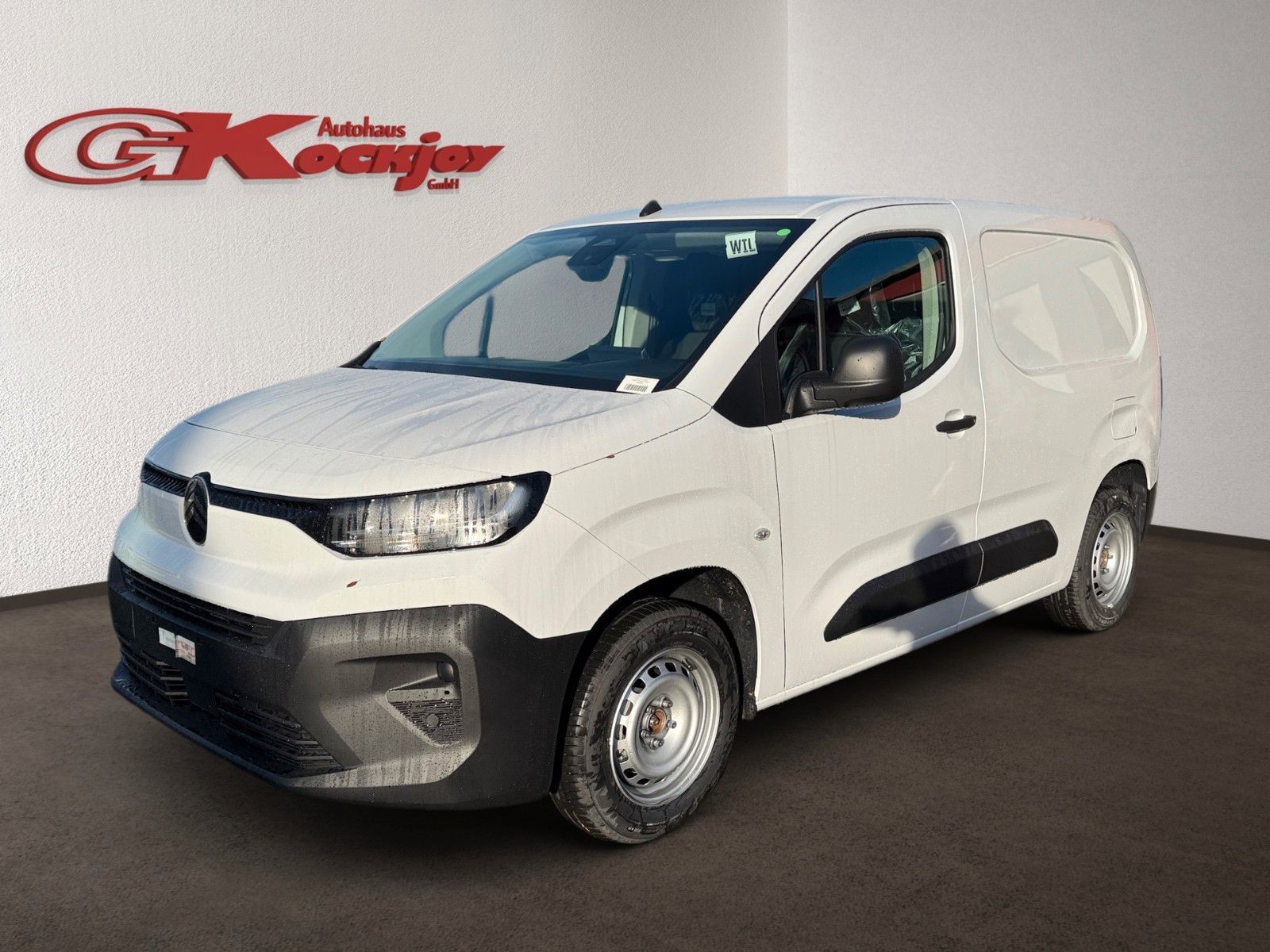 Fahrzeugabbildung Citroën Berlingo Kasten L1H1/M