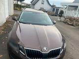 Skoda Oktavia - Skoda: Oktavia