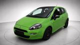 Fiat PUNTO TWINAIR BLUE&ME 6-GANG *NUR 49.000 KM* - Fiat: Blue Me
