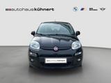 Fiat Panda 1.2 8V Lounge PDC - Fiat Panda: Schwarz