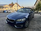 BMW 220d Cabrio Luxury Line, 8-fache Bereifung - BMW 2er-Reihe F22 mit Diesel-Antrieb