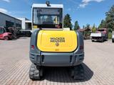 Neuson Wacker Neuson 3503 RD - Neuson LKWs