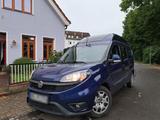 Fiat FIat Doblo m hochdach langversion Wohnmobi... - Fiat Doblo: Lang