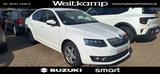 Skoda Octavia Lim.2.0TDI DPF Elegance GrTec an Gewerbe - Skoda Octavia: TDI Elegance