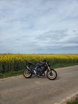 Honda CB 1000 Hornet SP Top Zustand | Viele Extras | 5 - HONDA CB1000 HORNET SP