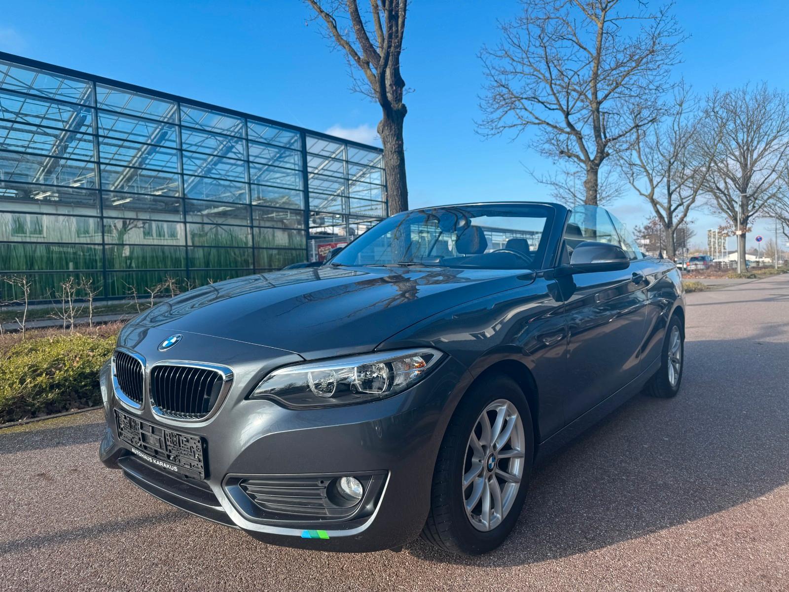 BMW 220 2 Cabrio 220 i Advantage Navi