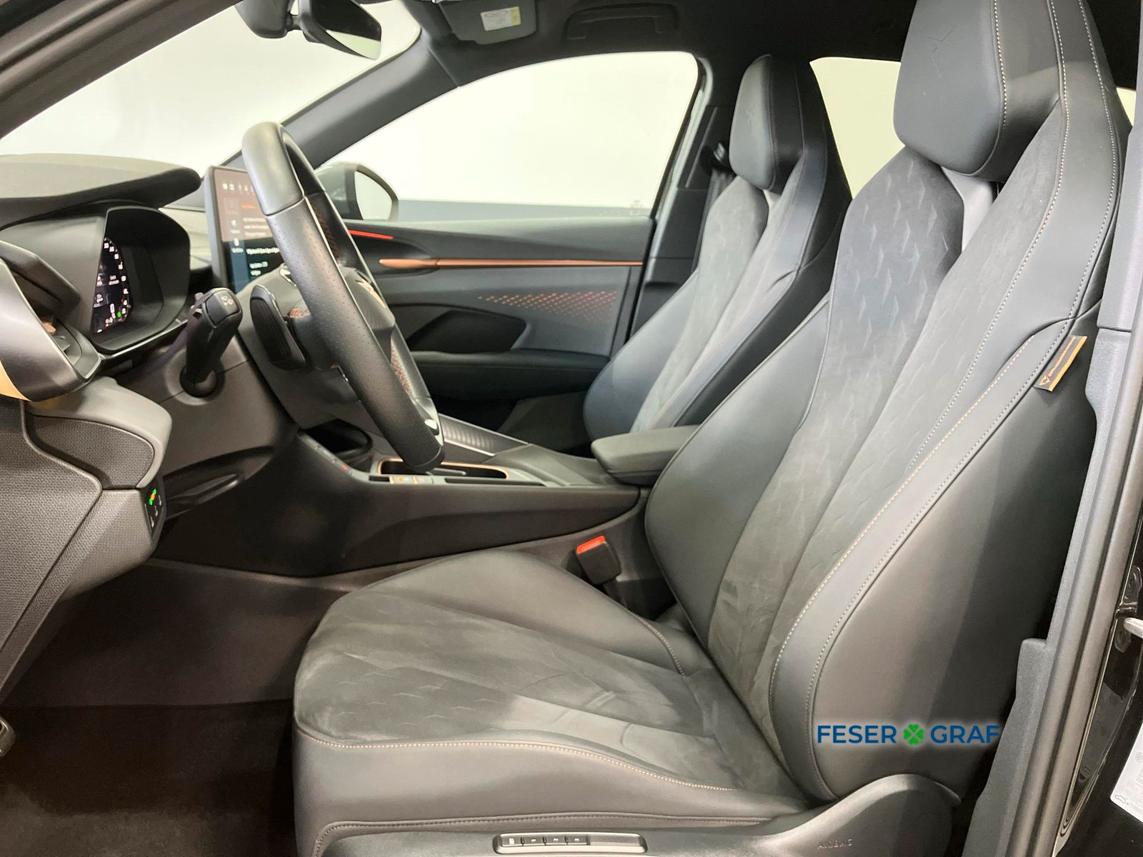 Cupra Terramar - Bild 6
