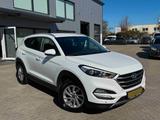 Hyundai Tucson blue Intro Edition 2WD/Navi/R-Kamera - Hyundai TUCSON: Intro Edition