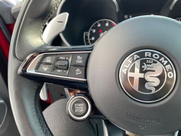 Fahrzeugabbildung Alfa Romeo Stelvio Lusso Ti Q4 Navi Pano RFK AHK H&K uvm .
