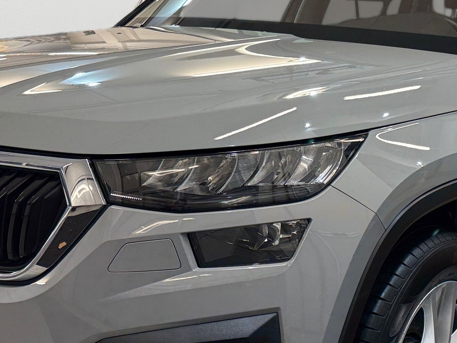 Skoda Kodiaq - Bild 7