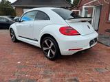 Volkswagen Beetle Lim. Club BMT/NAVI/ - Volkswagen Beetle: Kleinwagen