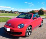 Volkswagen Beetle 1.6 TDI Cabriolet in Tornado Rot - Volkswagen Beetle: Rot, Cabrio