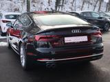 Audi A5 Sportback 40 TDI quattro Bi-Xenon Navi - Audi A5 40 TDI Gebrauchtwagen