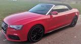 Audi A5 Cabrio quattro S-line 2,0L TDI - Audi A5: Rot, Cabrio