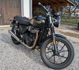 Triumph Street Twin Goldline  - TRIUMPH STREET TWIN