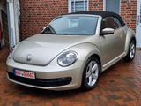 Volkswagen Beetle Cabriolet orig. 33.000km+Aut.+Klima+Leder - Volkswagen Beetle: Beige