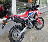 Honda CRF 300  Rally - HONDA RALLYE