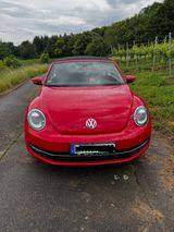 Volkswagen New Beetle Cabrio - top Fahrzeug - Fahrzeug gebraucht