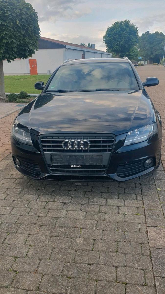 Audi A4 2011 — вигляд ззаду