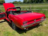 Ford Mustang Cabrio V8 4,9 - Inzahlungnahme Cobra mög - Ford Mustang aus 1967: Cabrio