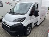 Opel Movano 132KW Food Truck Imbisswagen Premiumausba