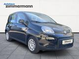 Fiat Panda 1.0 Base Klima PDC Allwetter - Fiat Panda aus 2025