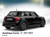 MINI Cooper NAVI DSG KLIMA LED PDC LM APPLE CBC BC - MINI MINI aus 2022