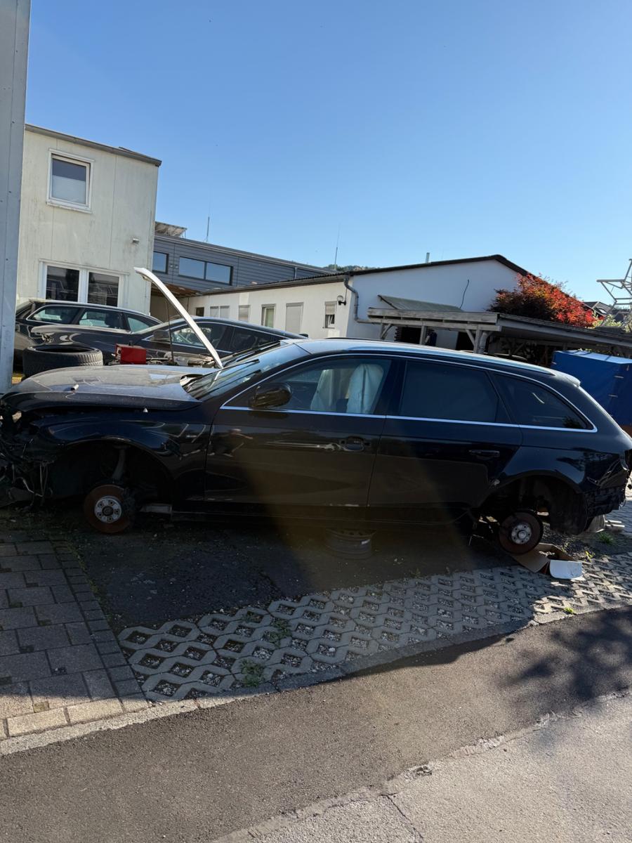 Audi A4 2010 — вигляд ззаду