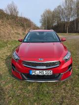 Kia XCeed 1.6 CRDi Vision + AHK + Standheizung - Kia XCeed Vision Gebrauchtwagen