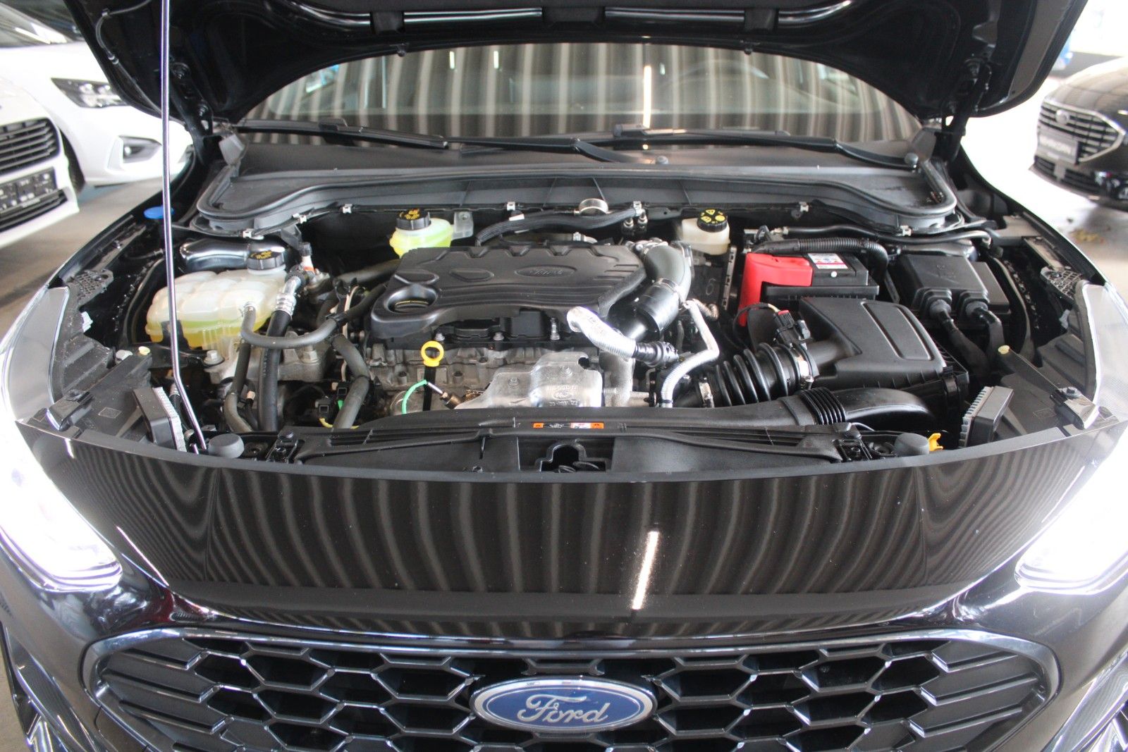 Fahrzeugabbildung Ford Focus ST-Line X AHK M-LED STDHZ B&O ACC WinterP.