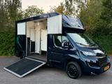 Peugeot Boxer Pferdetransporter 2015 Horsetruck - Peugeot: 201