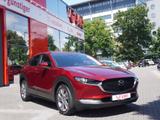 Mazda CX-30 2.0 SKYACTIV-X-M Selection LED Navi ACC - Mazda Gebrauchtwagen in Hannover
