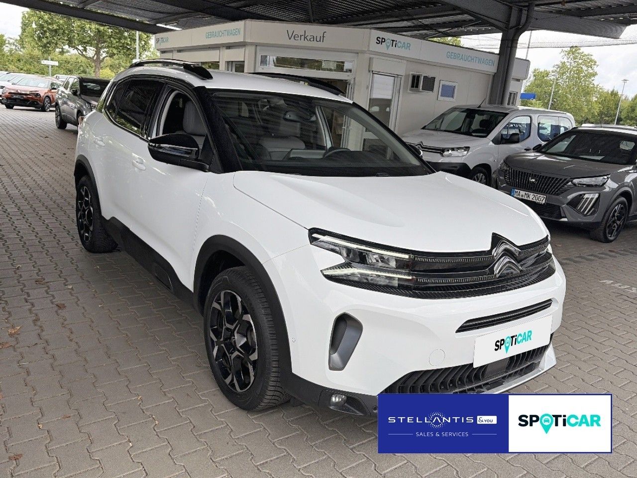 Citroën C5 Aircross Shine Pack AHK imagem 3
