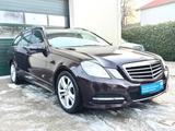 Mercedes-Benz E 300 CDI T BlueEFFICIENCY AVANTGARDE,Leder,Xeno - Mercedes-Benz E 300: Braun