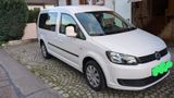 Volkswagen Caddy Maxi 7 Sitz 1.6 TDI - VW Caddy Maxi von privat