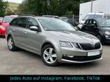 Skoda Octavia 2.0 TDI DSG / Carplay+Android - Skoda Octavia mit Diesel-Antrieb: Beige, Kombi