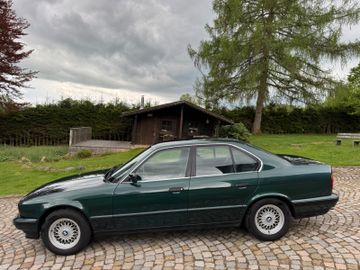 BMW 525 - 1